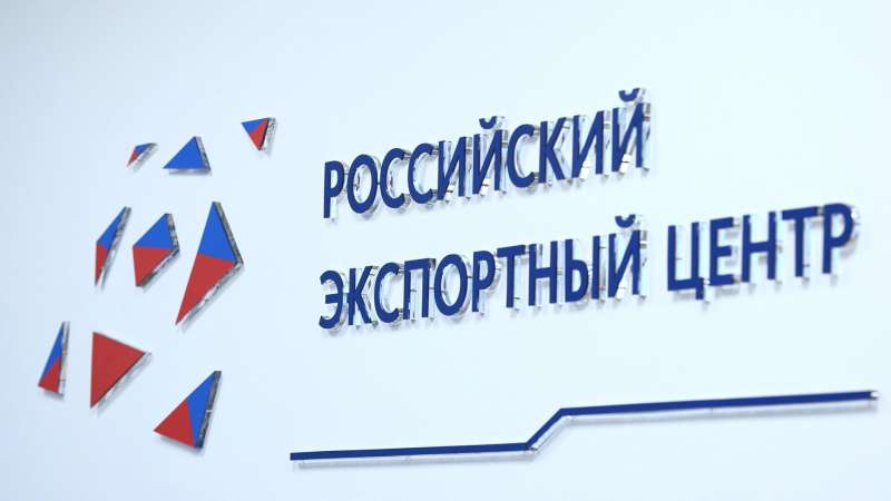 РЭЦ направил 7,9 трлн руб на поддержку отечественных компаний