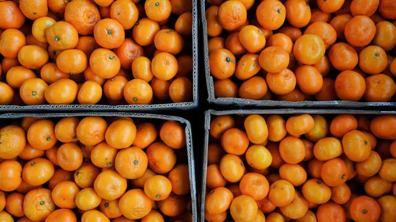 Стало известно, как выросли цены на мандарины за год