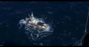 Морские прогулки и наблюдение за китами, рыбалка и туры: обзор направлений и особенностей